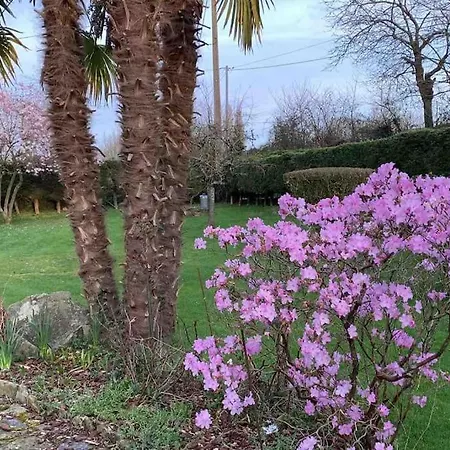 Le Nalousie