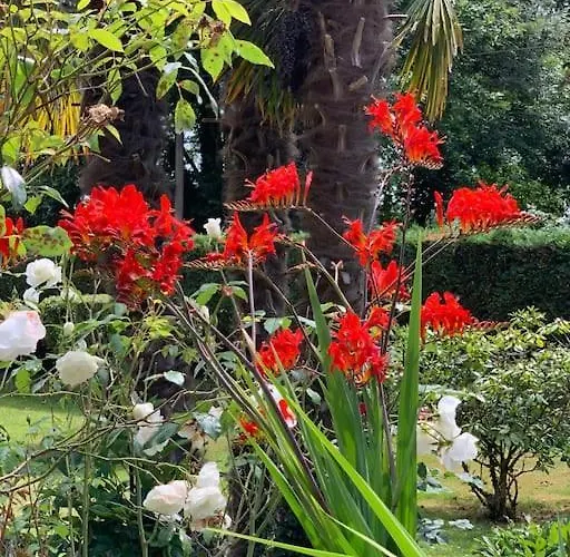 Le Nalousie Casa vacanze *